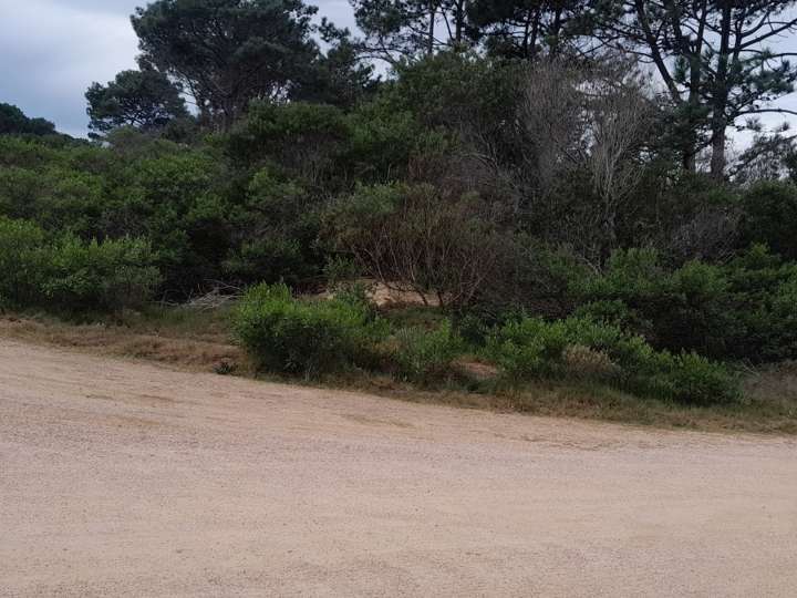 Terreno en venta en La Jarcia, Maldonado