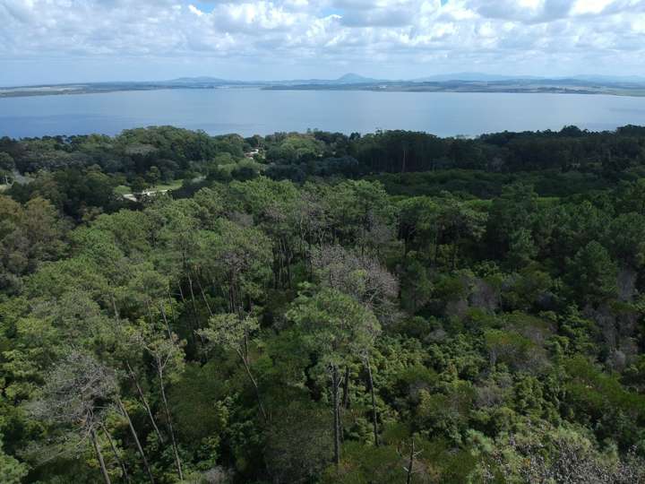 Granja en venta en Maldonado