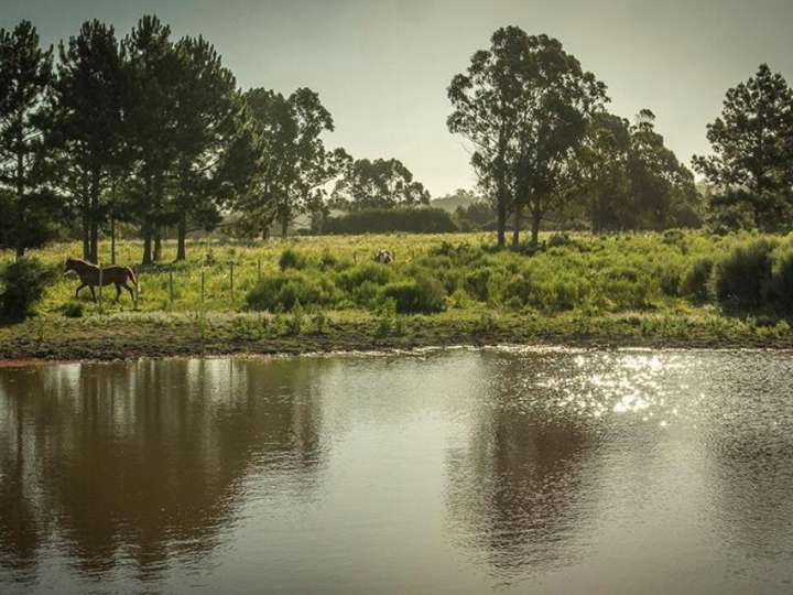 Granja en venta en Tercera Vecinal a Ruta 29, Maldonado