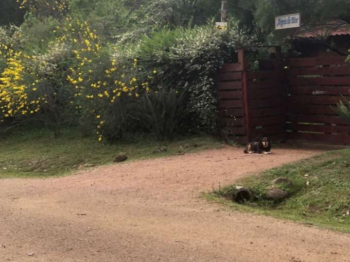 Casa en venta en Julio Lapi, Maldonado