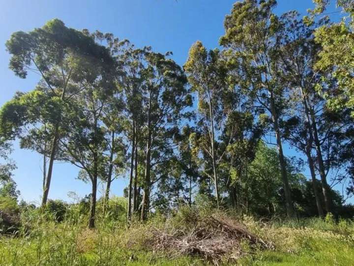 Terreno en venta en De Las Retamas, San Rafael - El Placer