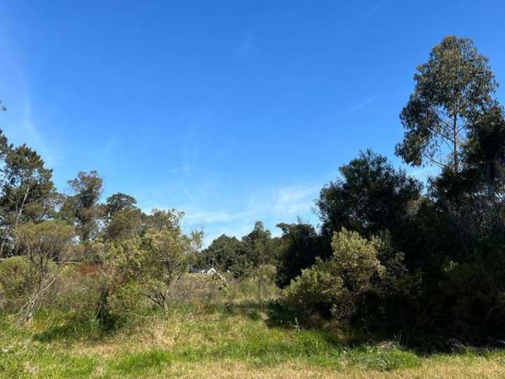 Terreno en venta en De Las Retamas, San Rafael - El Placer