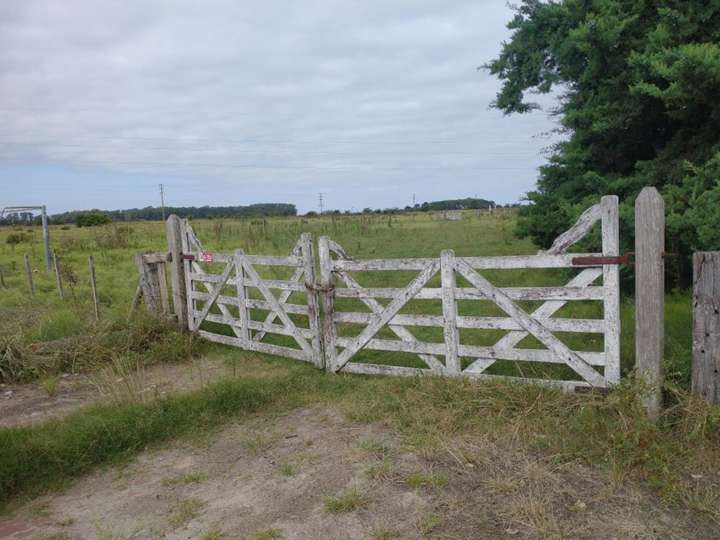 Terreno en venta en Ruta Provincial 36 Ministro Numa Tapia, Buenos Aires