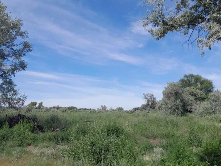 Casa en venta en Departamento Avellaneda, Río Negro