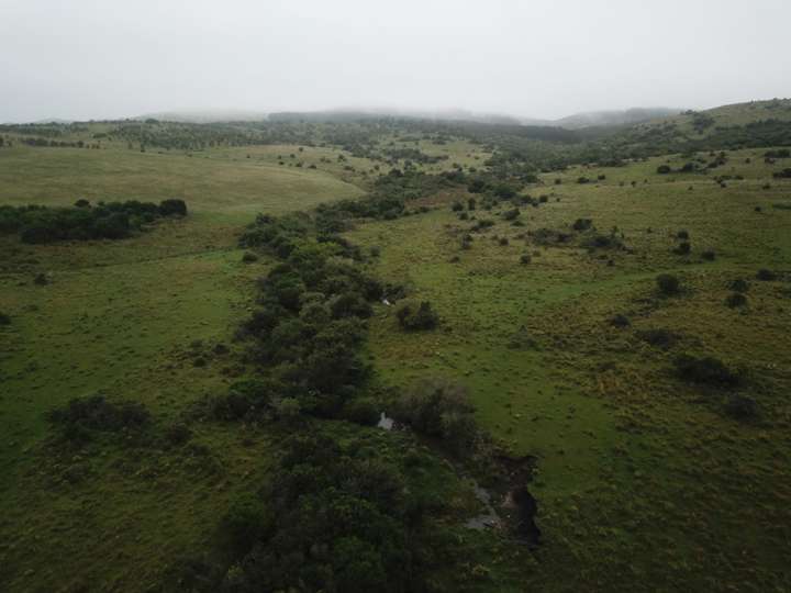 Granja en venta en Lavalleja