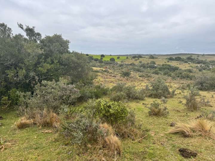 Granja en venta en Maldonado