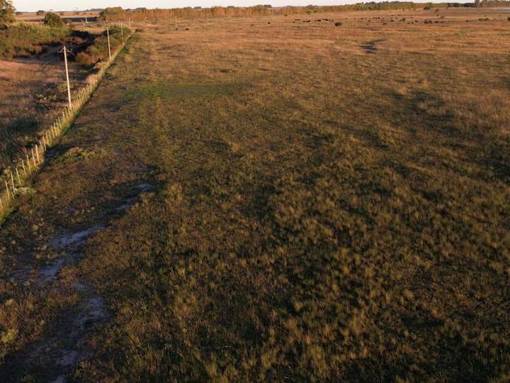 Terreno en alquiler en Ruta Provincial 36 Ministro Numa Tapia, Buenos Aires