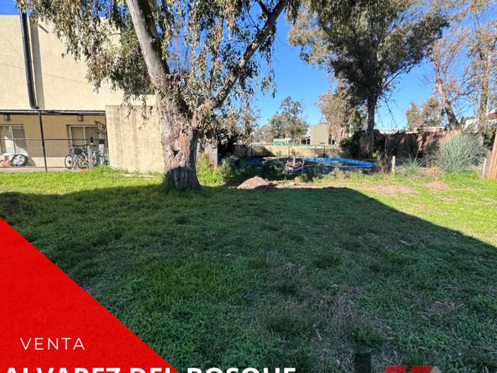 Terreno en venta en Avenida General San Martín Norte, Francisco Álvarez