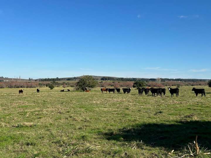 Granja en venta en Maldonado