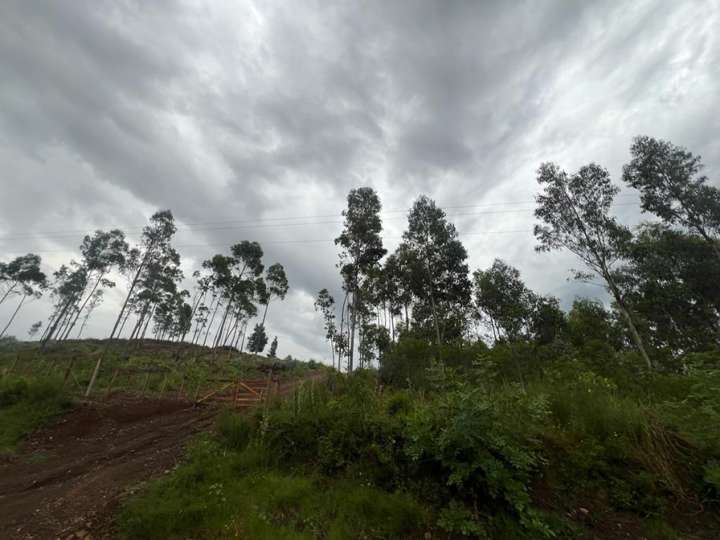 Granja en venta en Lavalleja