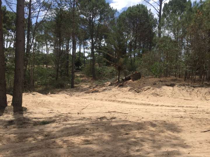 Terreno en venta en Punta Ballena