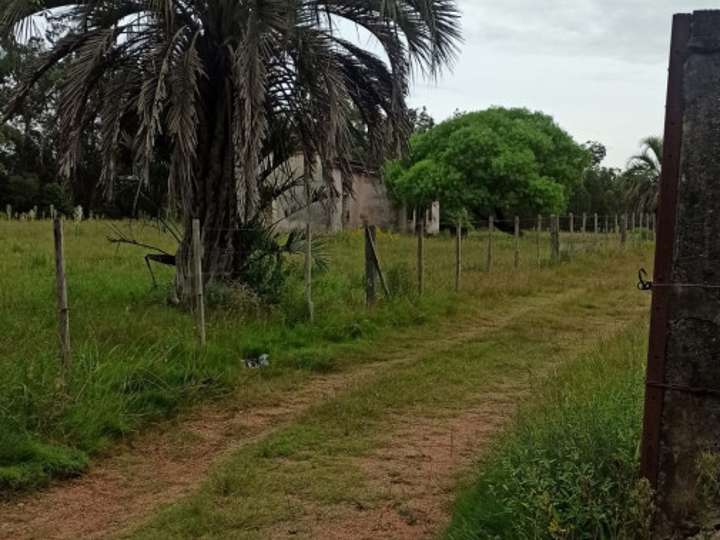 Terreno en venta en Maldonado