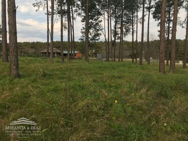 Terreno en venta en Rambla General Artigas, Punta Del Este