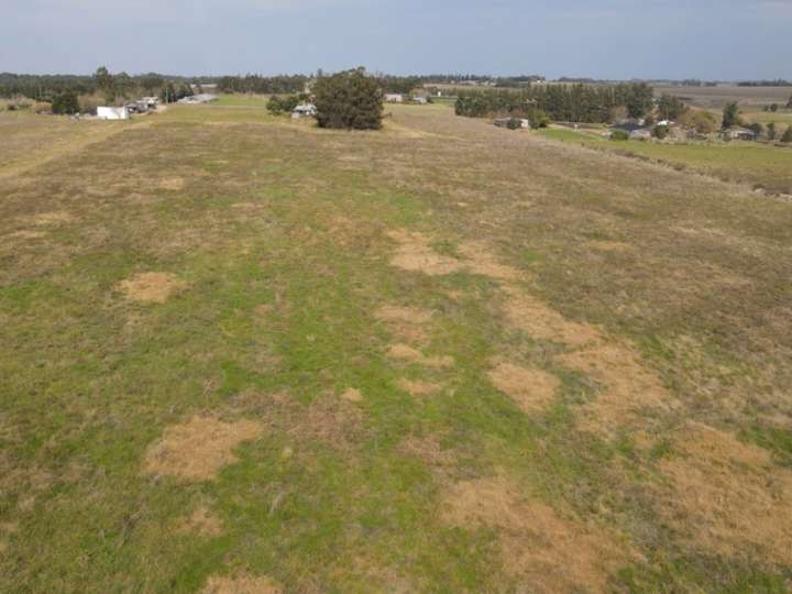 Granja en venta en Carmelo René González, Sauce