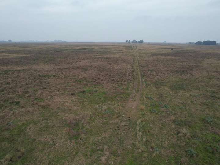 Terreno en venta en Ruta Provincial 36 Ministro Numa Tapia, Buenos Aires