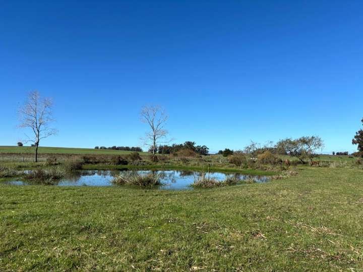 Granja en venta en Las Delicias, Maldonado
