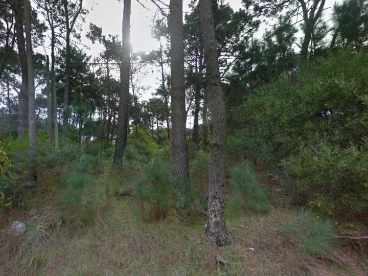 Terreno en venta en Maldonado