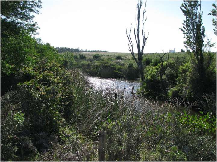 Granja en venta en Maldonado