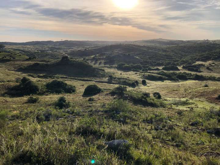 Granja en venta en Lavalleja