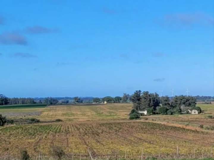 Granja en venta en San José