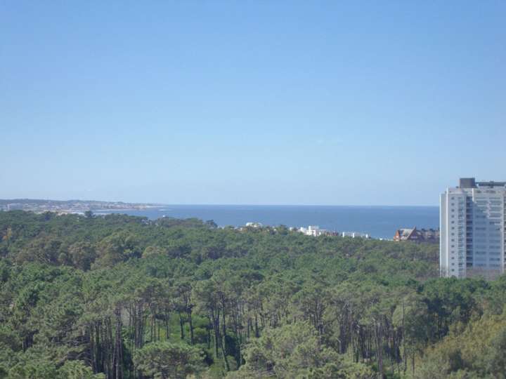 Apartamento en alquiler en Maldonado