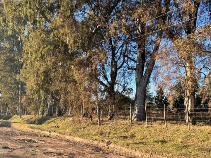 Terreno en venta en Saavedra, General Villegas