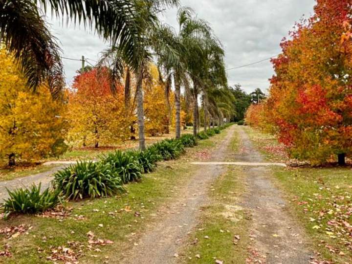 Terreno en venta en Partido de Baradero, Buenos Aires