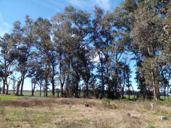 Terreno en venta en Alazán, Brandsen