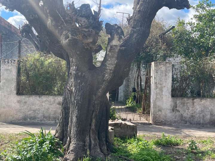 Casa en venta en Doctor F. J. Muñiz, Buenos Aires