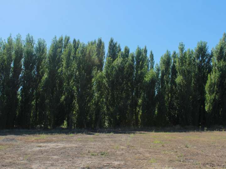 Terreno en venta en Lanin, Municipio de General Roca