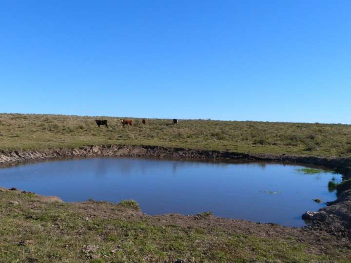 Granja en venta en Maldonado