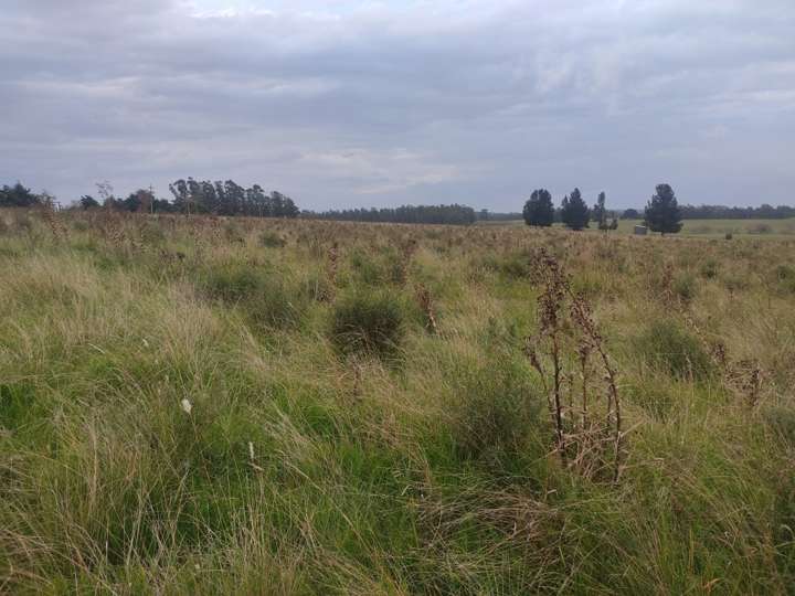 Granja en venta en Maldonado