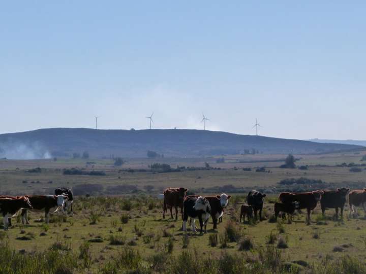 Granja en venta en Maldonado