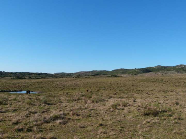 Granja en venta en Maldonado