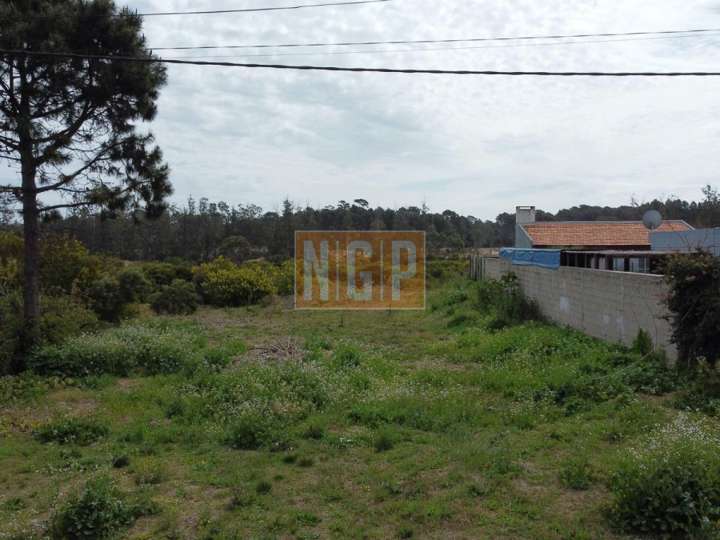 Terreno en venta en Punta Del Este