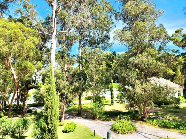 Apartamento en venta en Hornero, Maldonado