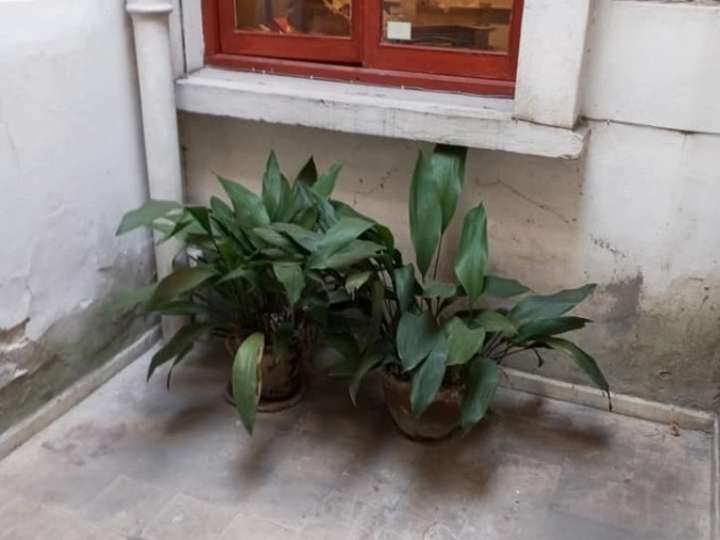 Apartamento en venta en Doctor Joaquín Requena, Montevideo