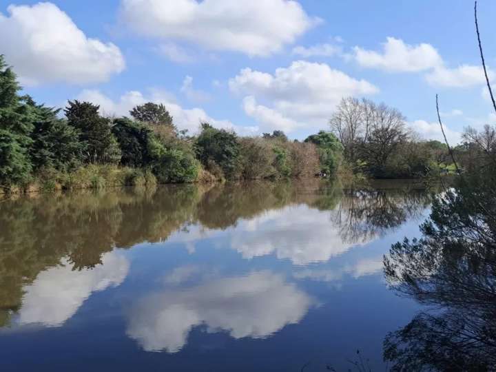 Granja en venta en Camino Paja Brava, Montevideo