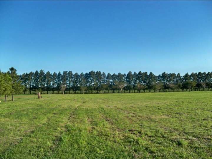 Granja en venta en Maldonado