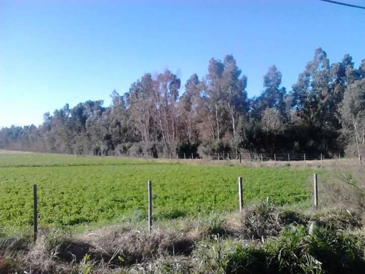 Granja en venta en Camino a Parque del Plata, Estación Atlántida