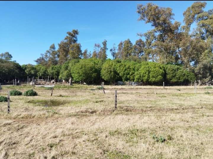 Granja en venta en Camino a Parque del Plata, Estación Atlántida