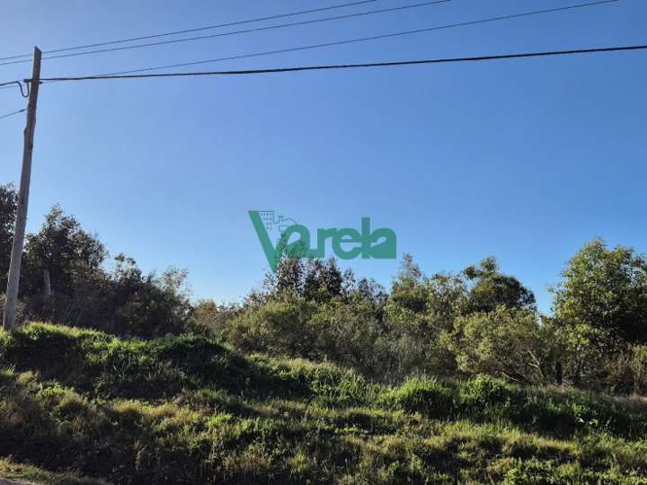 Granja en venta en Camino al Fortín, Canelones