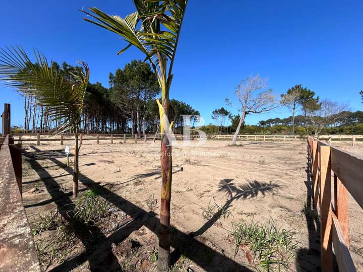 Terreno en venta en Rolando, Rocha