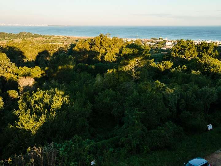 Terreno en venta en Rambla General Artigas, Punta Del Este