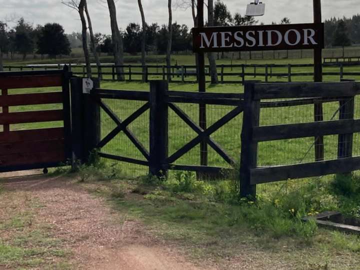 Granja en venta en Camino a la Pataia, Maldonado