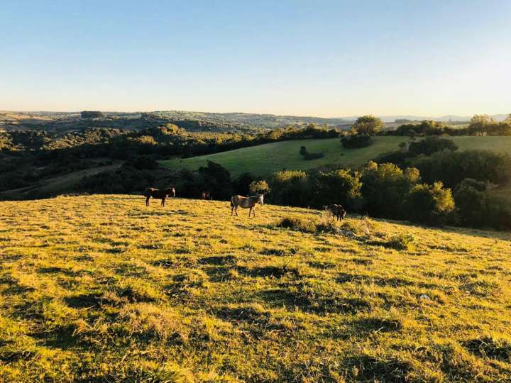 Granja en venta en Aiguá
