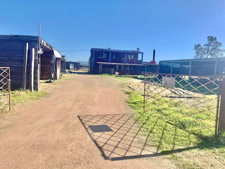 Casa en venta en Avenida Wilson Ferreira Aldunate, Maldonado