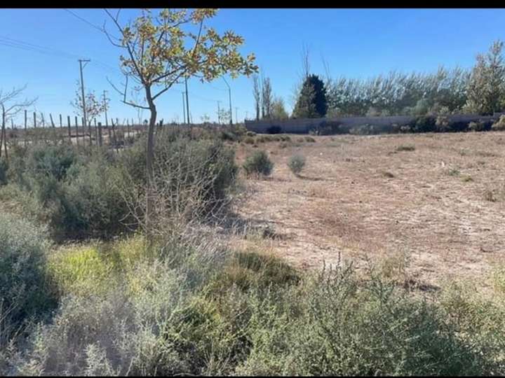 Terreno en venta en Departamento General Roca, Municipio de General Roca