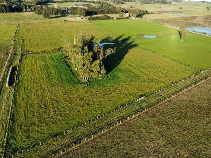 Granja en venta en La Barra