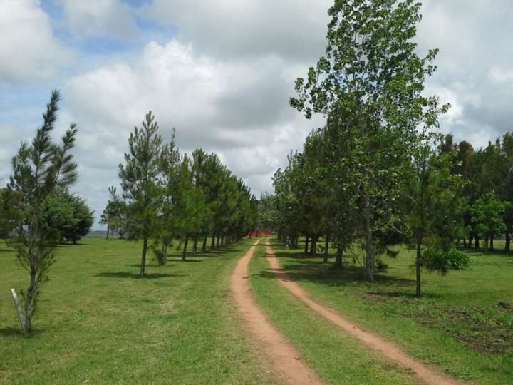Granja en venta en Maldonado